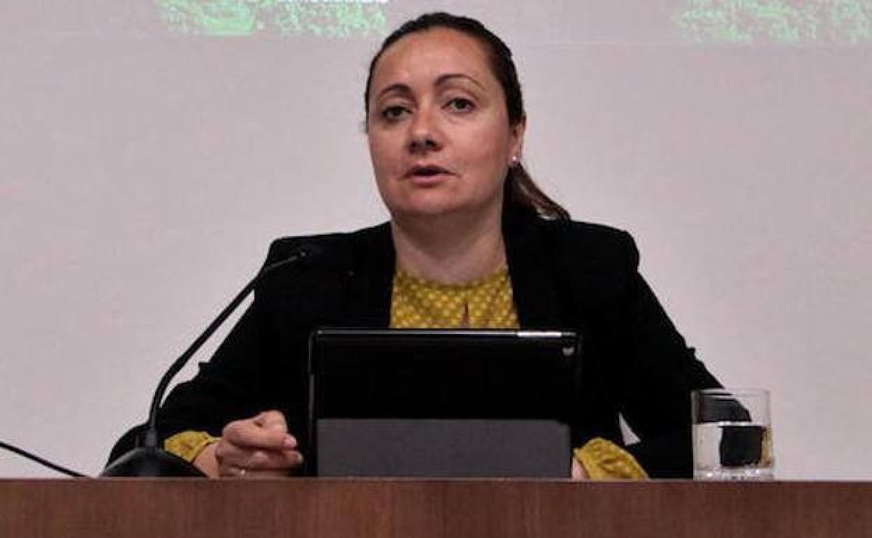 Virginia Borrallo muestra la sorpresa del PSOE por lo ocurrido en el pleno del Ayuntamiento de Jerez