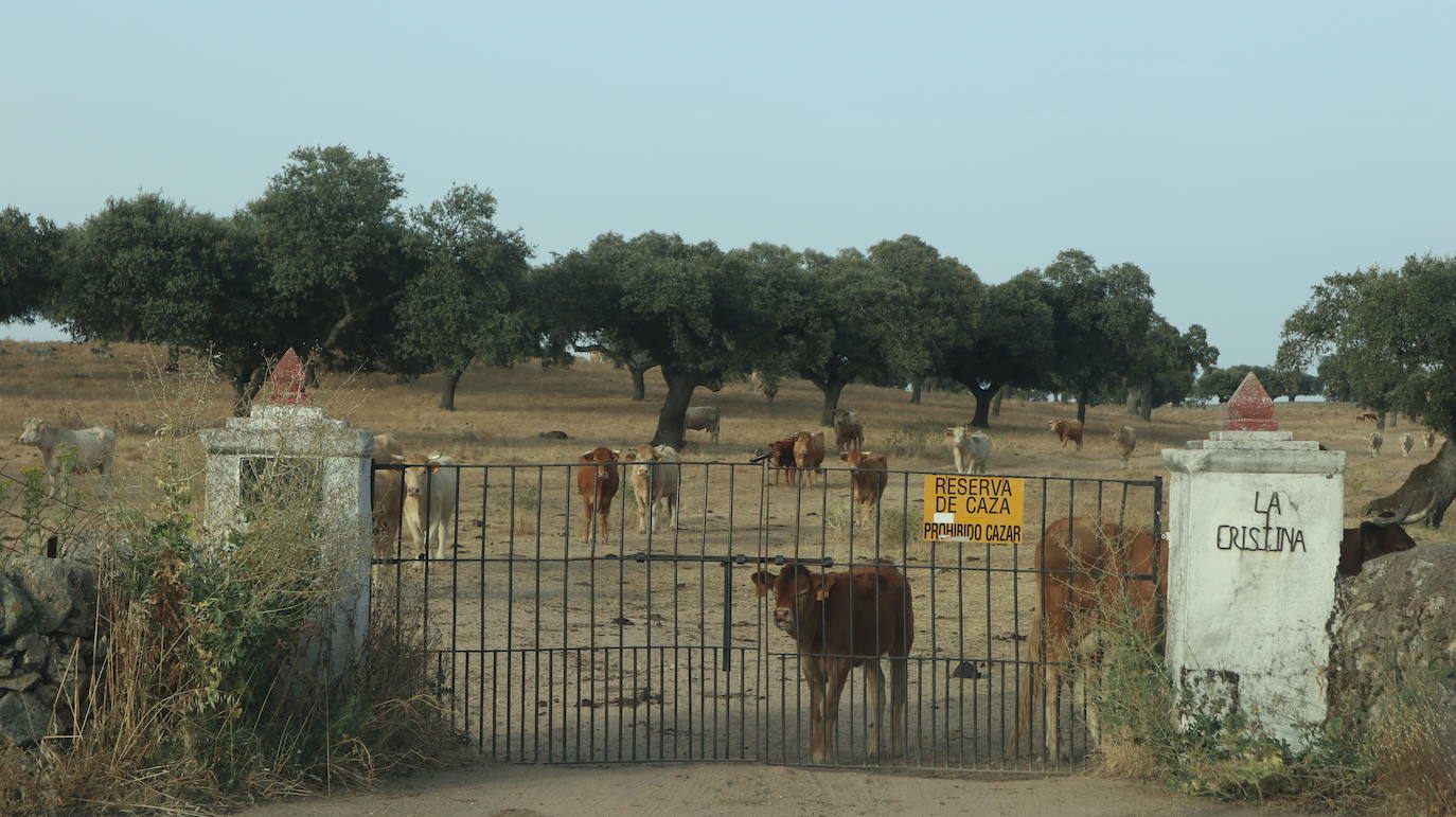 Fotos: RINCONES CON ENCANTO | BA-139, la carretera con la mejor dehesa