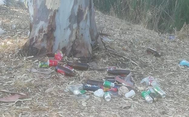 Restos de botellas y latas en un árbol junto al río.