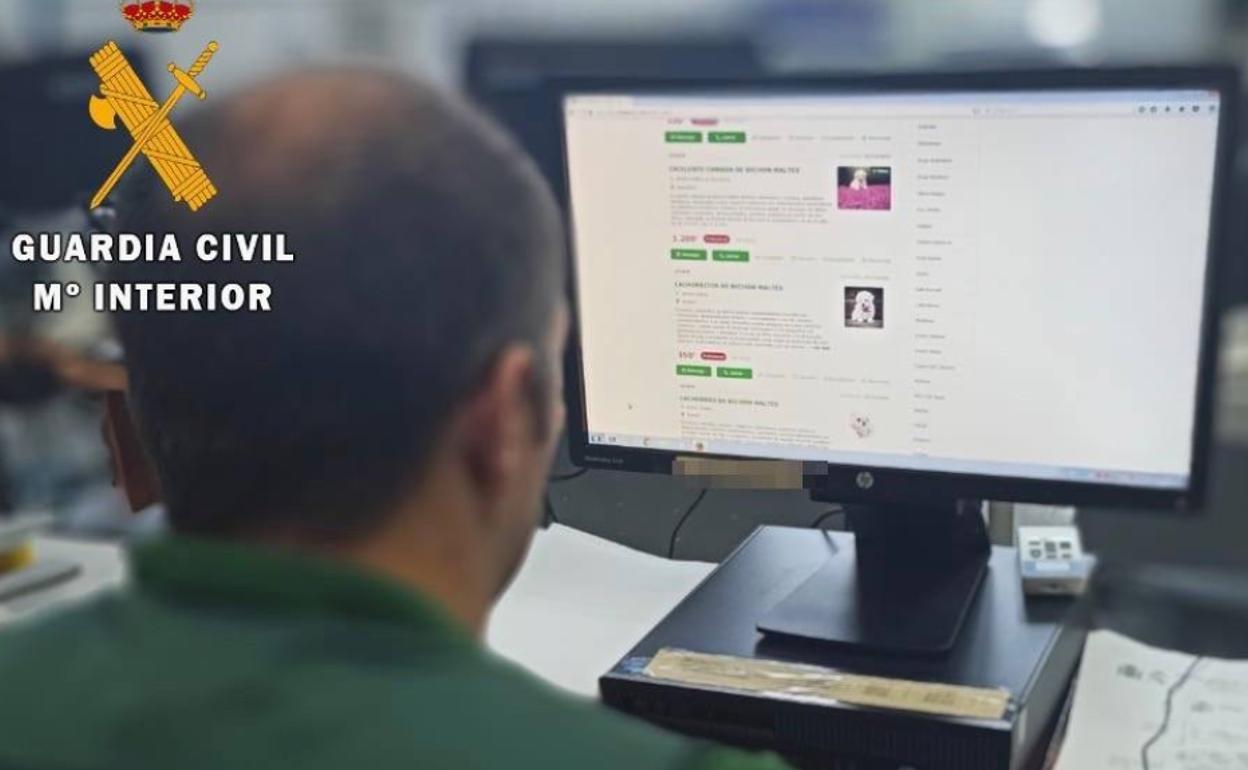 Una denuncia en Malpartida de Plasencia permite desarticular un grupo criminal dedicado a estafas de venta de perros por internet