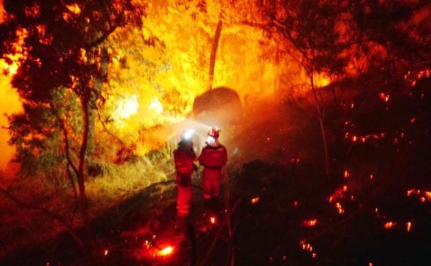 Más de 300 efectivos trabajan en los incendios forestales del norte de la región