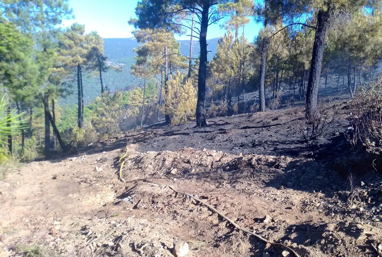 Una de las zonas arrasadas del incendio de Aldehuela. 