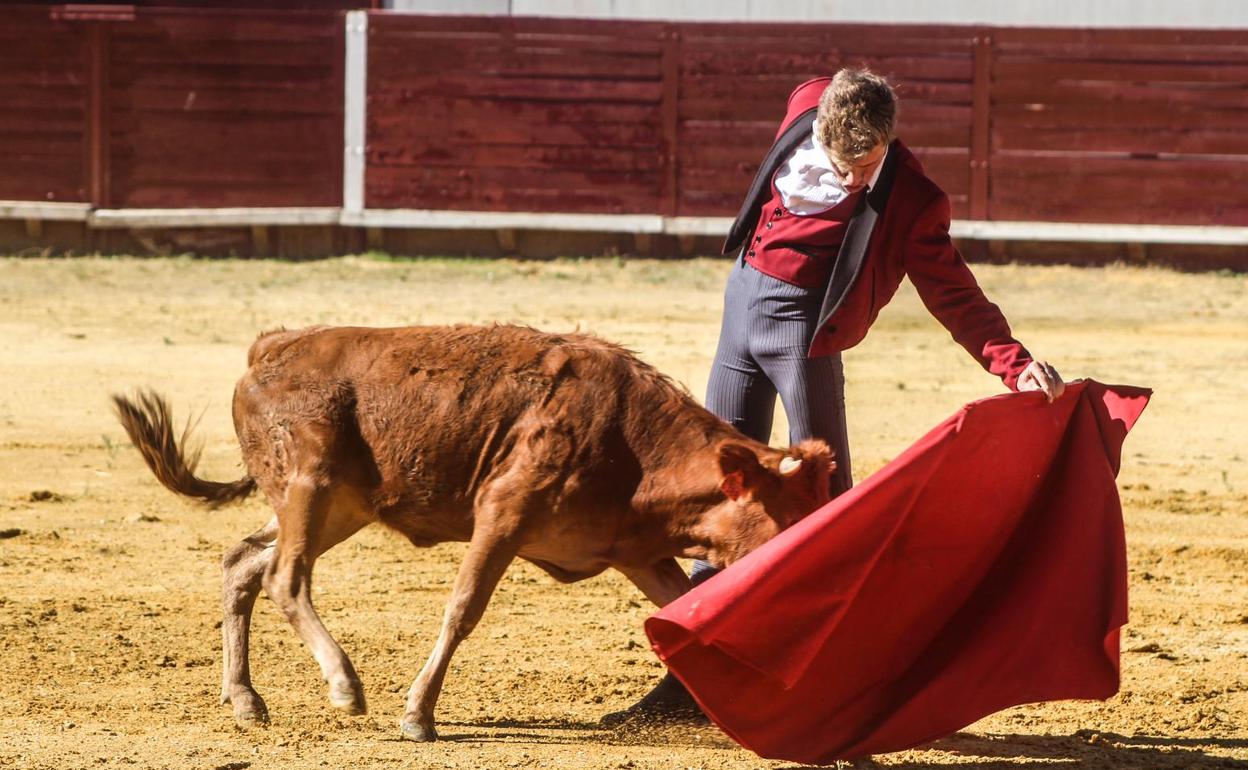 El becerrista de Usagre Pedro Herrera con la muleta 