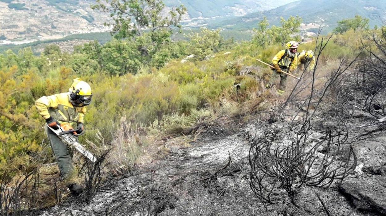 Trabajadores de la Brif de Pinofranquedado, trabajando ayer. 
