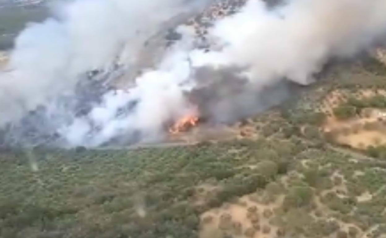 Medios de Extremadura y Andalucía colaboran en la extinción de un incendio de Fuente del Arco