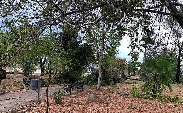 Ramas y árboles tirados en el parque de Calzadilla por lo que el alcalde definió como un «pequeño tornado». 