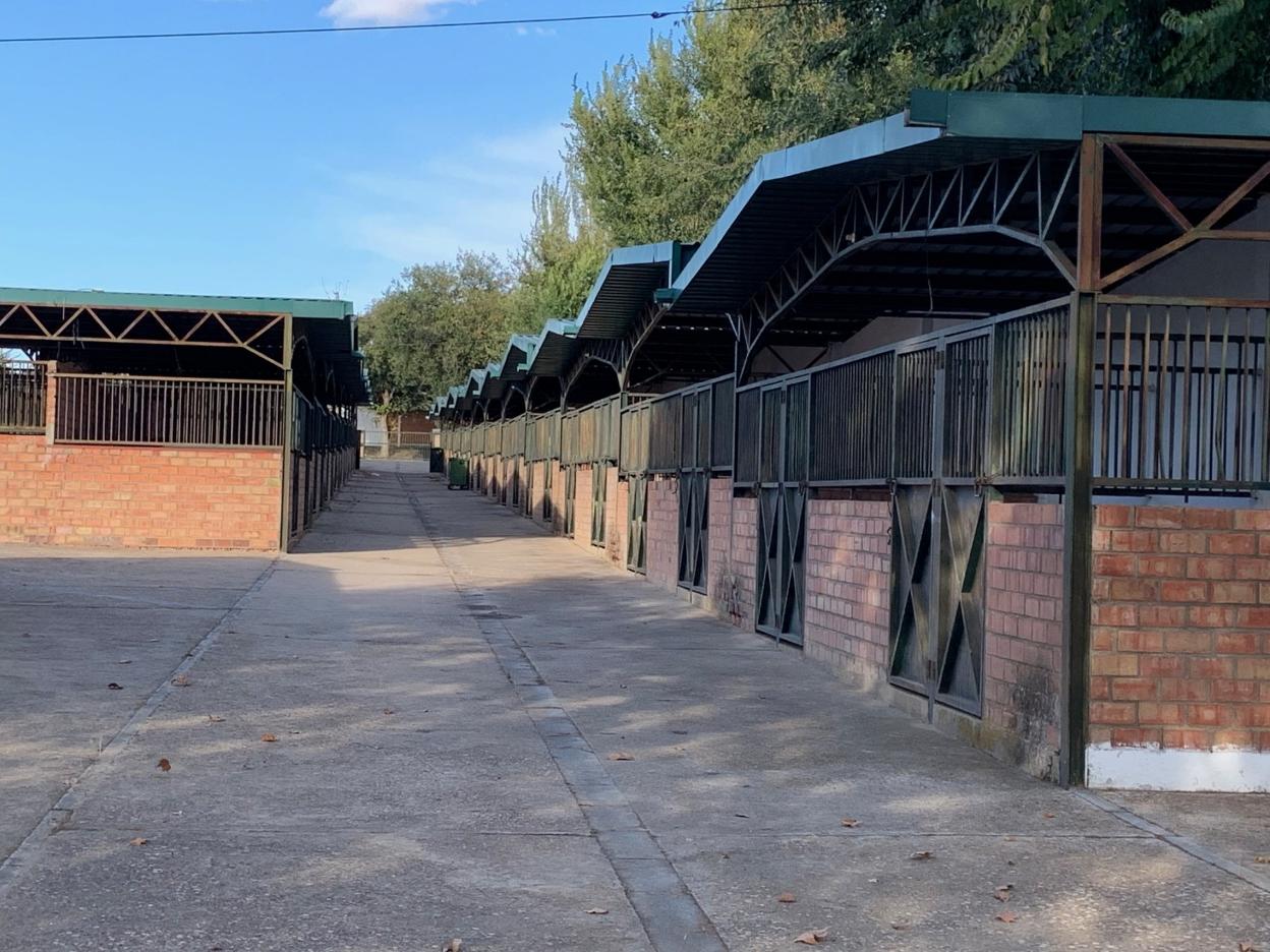 Expositores vacíos donde se muestran caballos en el recinto ferial. 