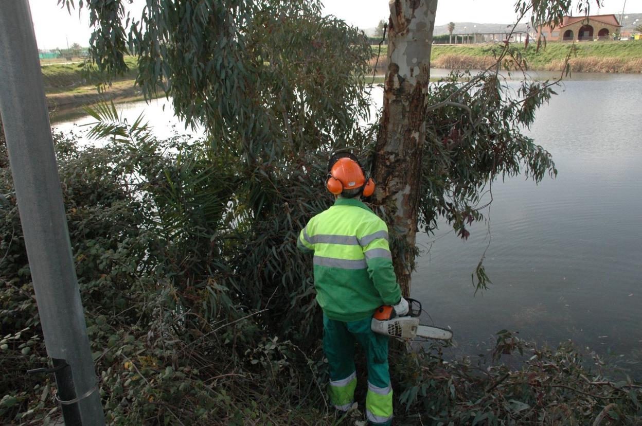 Jardineros en plena tarea en la charca Mayen. 