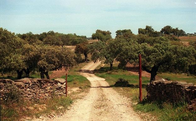 Entrada a la finca Cabra Baja de Zahínos, expropiada a la Casa Alba.