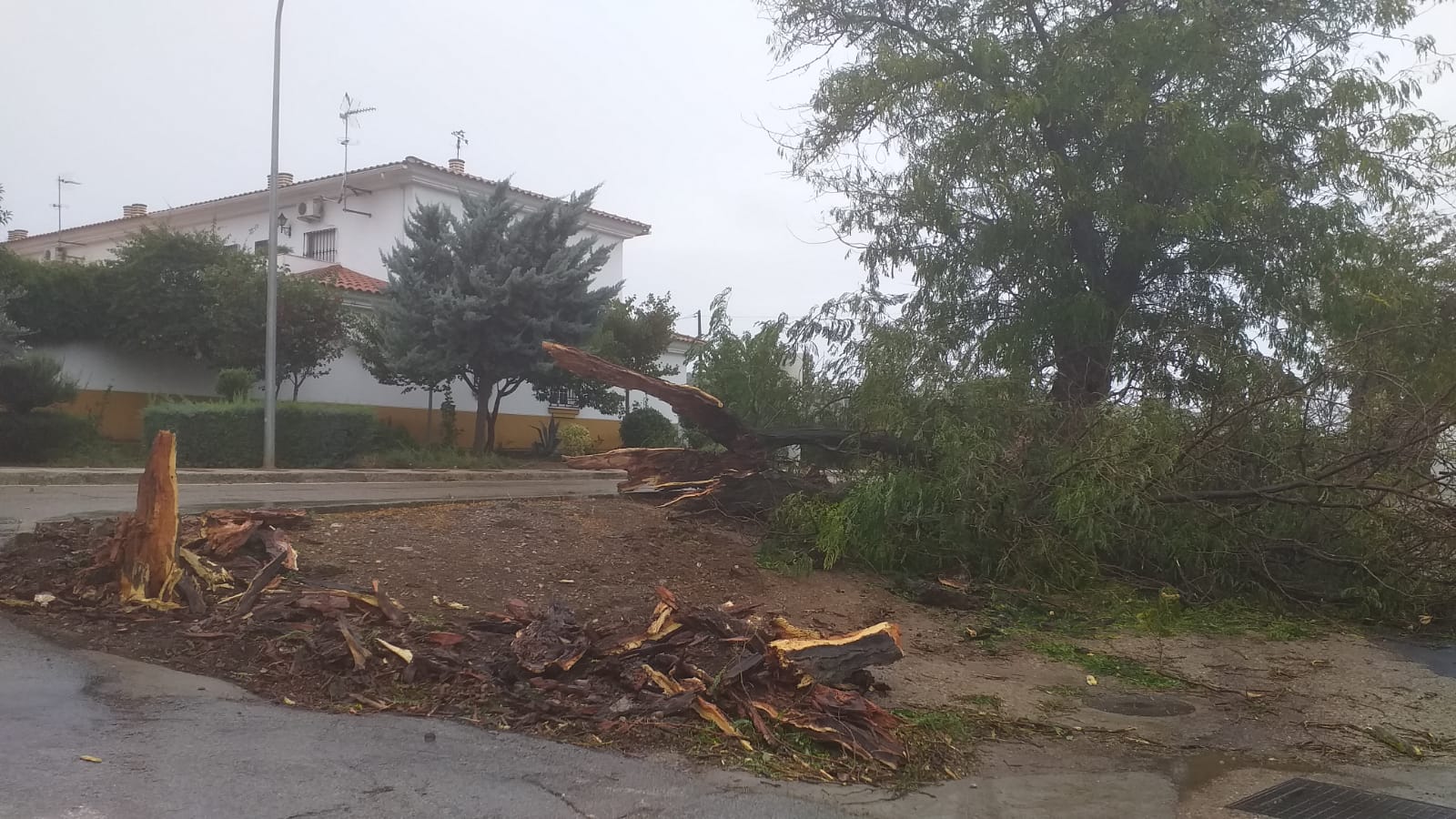 Fotos: Efectos de la borrasca Bárbara en Extremadura