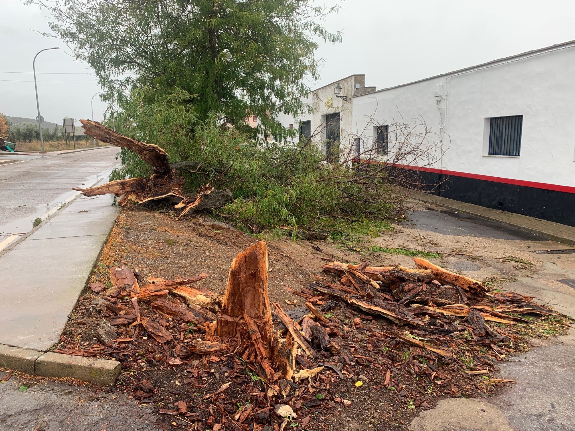 Fotos: Efectos de la borrasca Bárbara en Extremadura