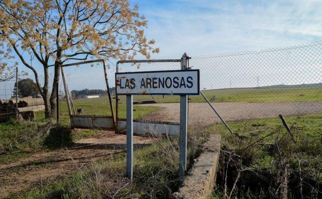 Entrada a la finca municipal Las Arenosas, ya descartada. 