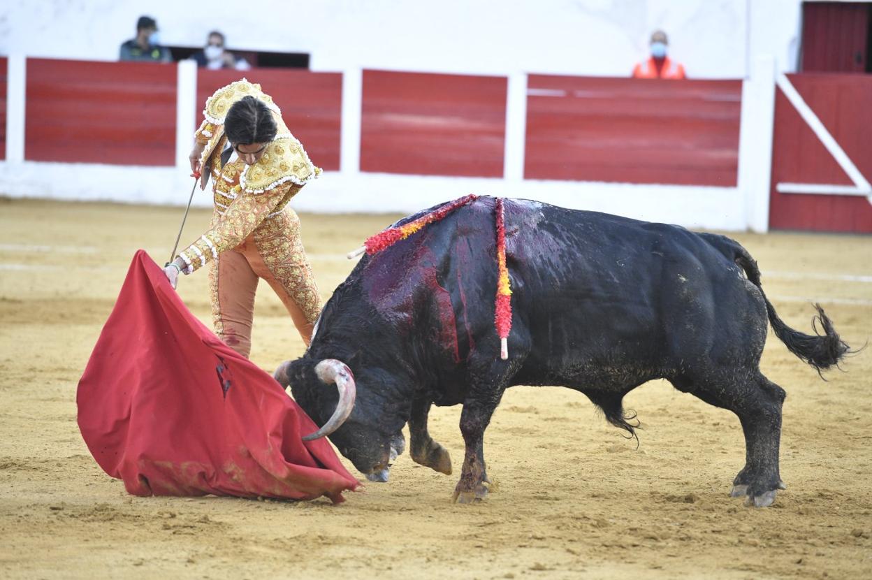 Pase de pecho de Miguel Ángel Perera a 'Retama', tercero de la tarde en Barcarrota. 