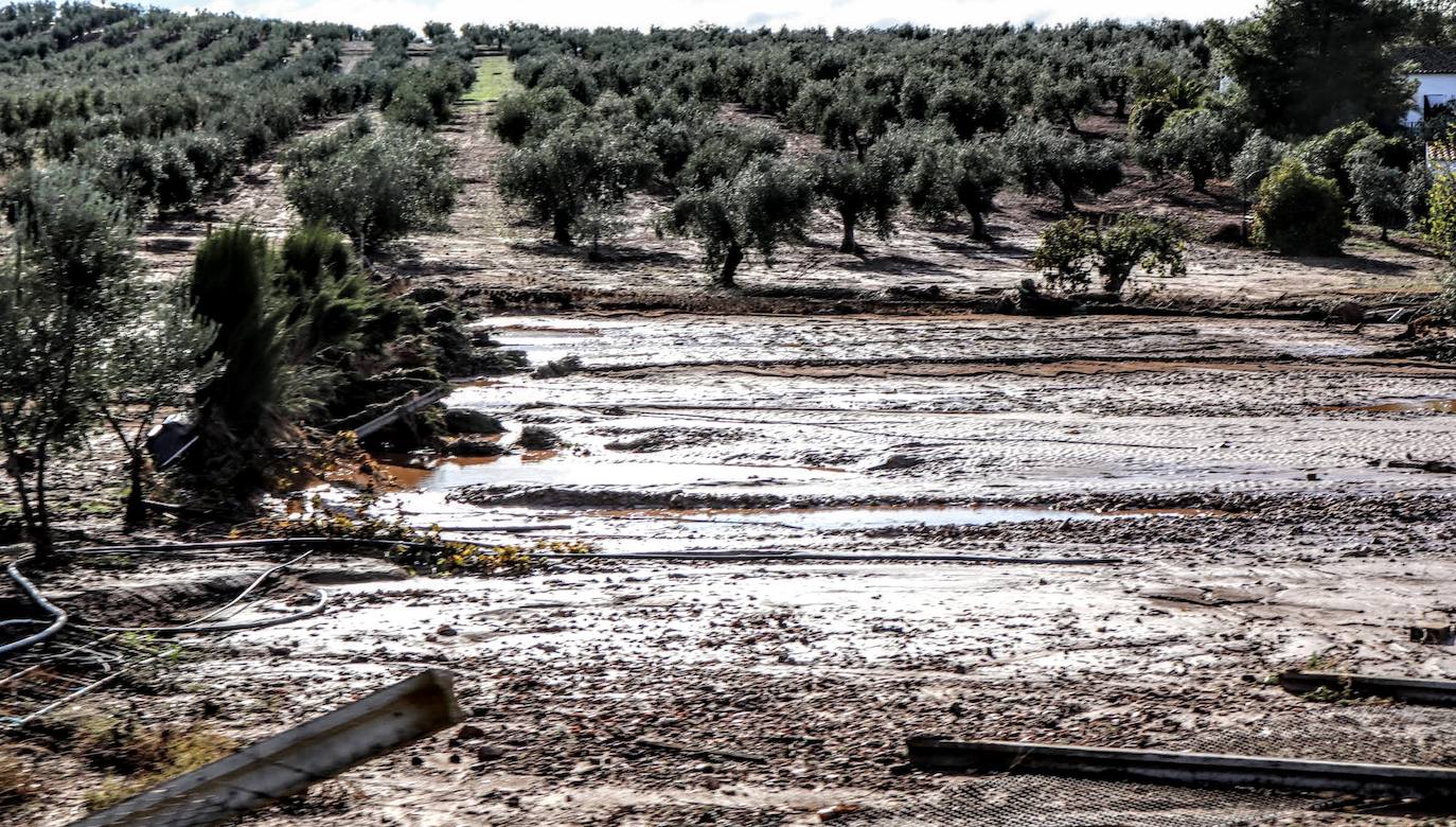 Desborde del arroyo de Valdemedel en Ribera del Fresno