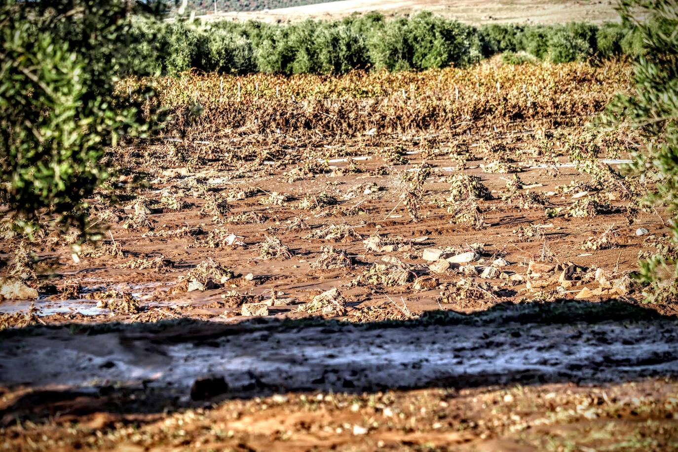 Desborde del arroyo de Valdemedel en Ribera del Fresno