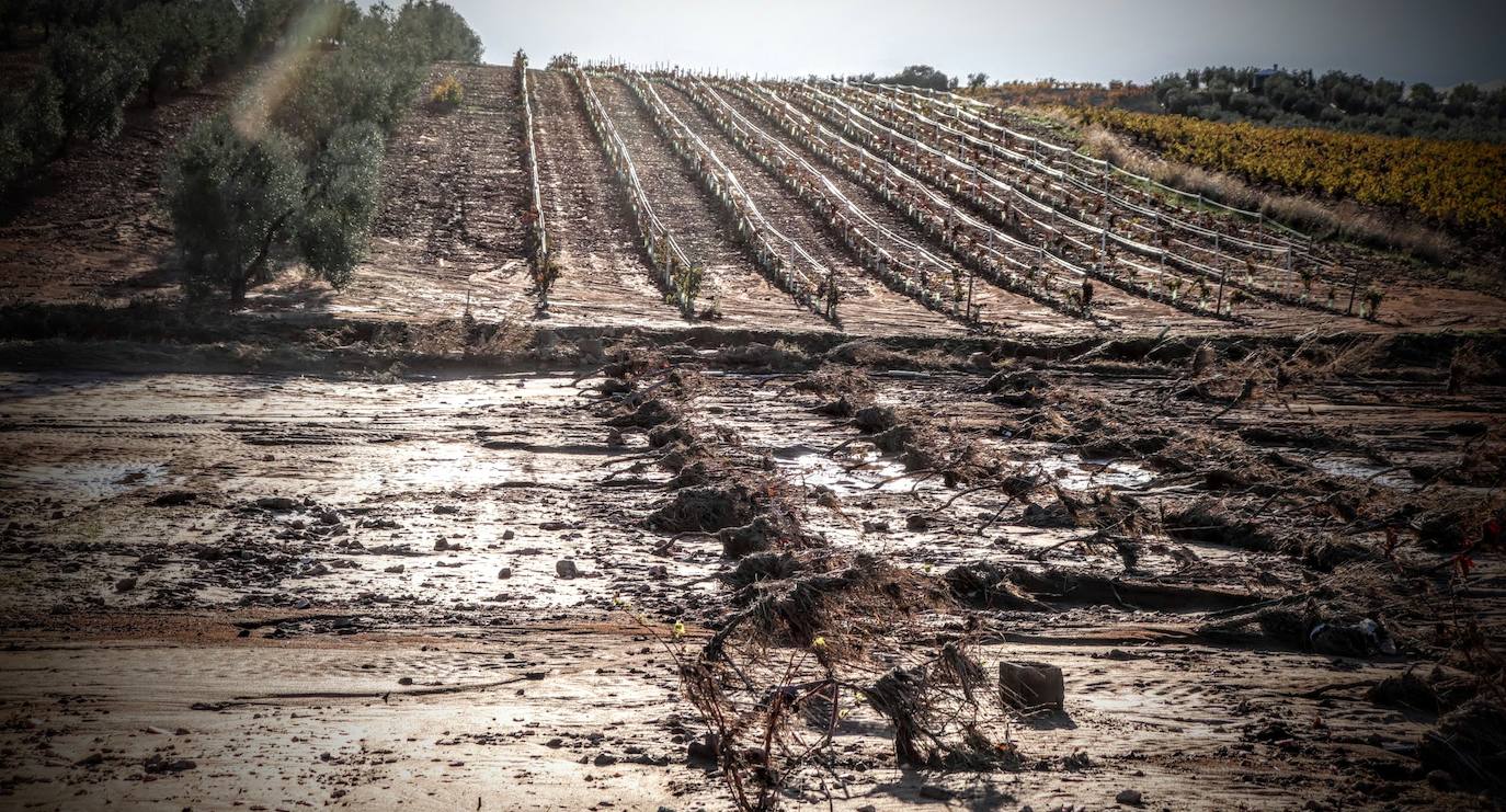 Desborde del arroyo de Valdemedel en Ribera del Fresno