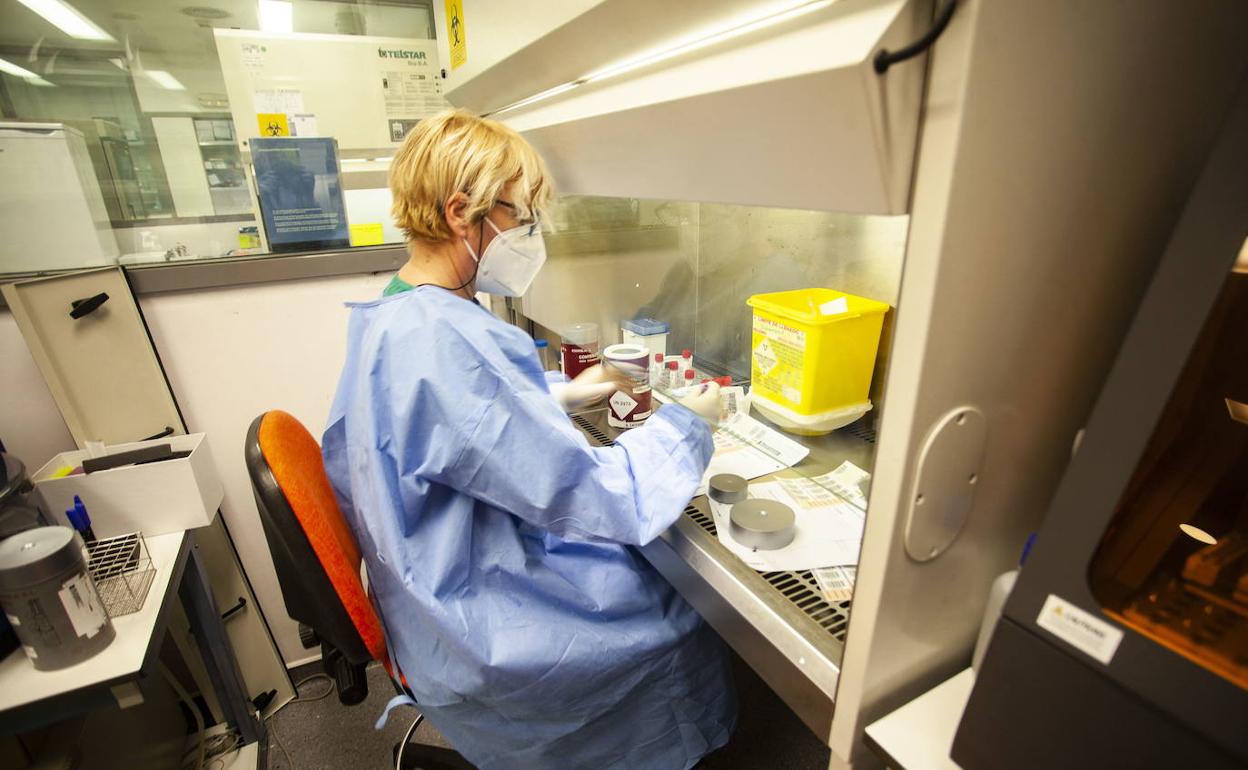 Laboratorio de microbiología del Hospital San Pedro de Alcántara de Cáceres. 