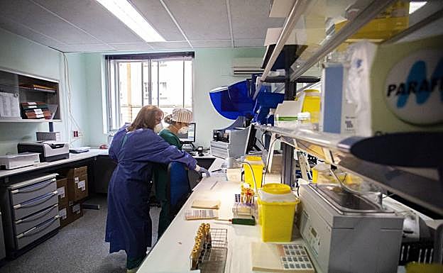 El SES agrupa los casos de Talavera la Real y La Albuera para vigilarlos 