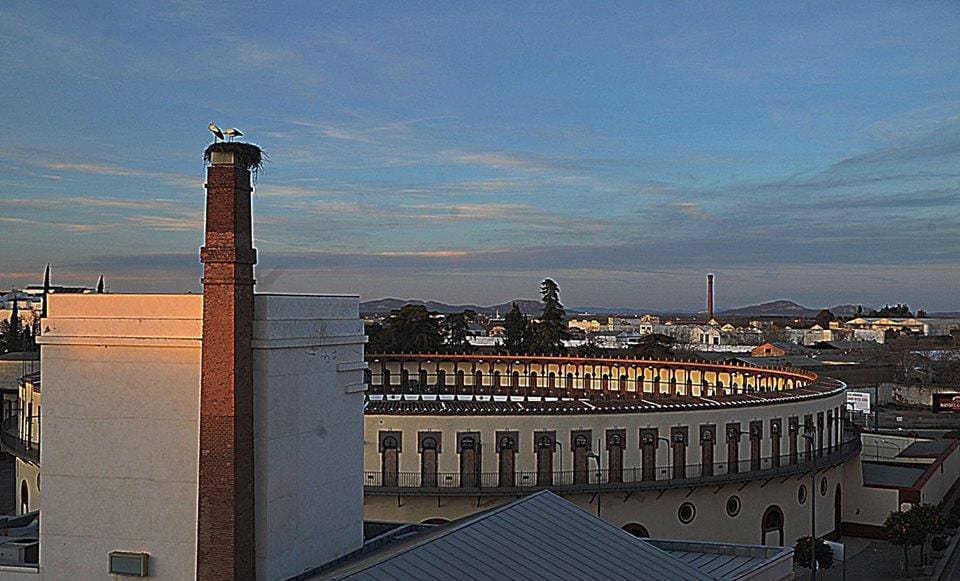 Antigua Alcoholera Extremeña, en la actualidad Museo del Vino (Almendralejo)