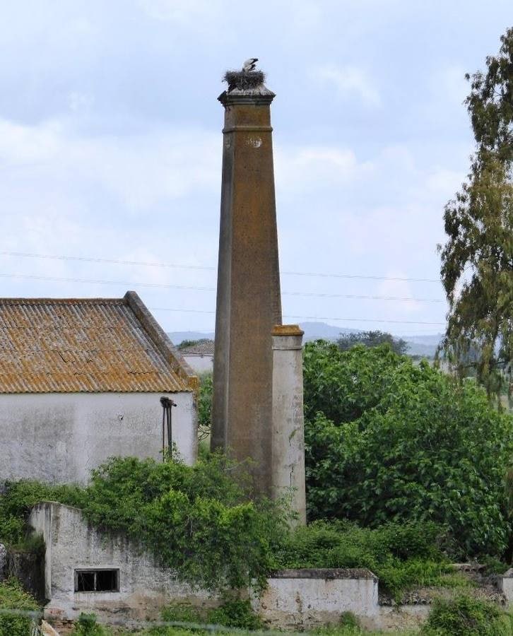 Antiguo almacén de coloniales Manuel Ramos Moreno SL (Fregenal de la Sierra)