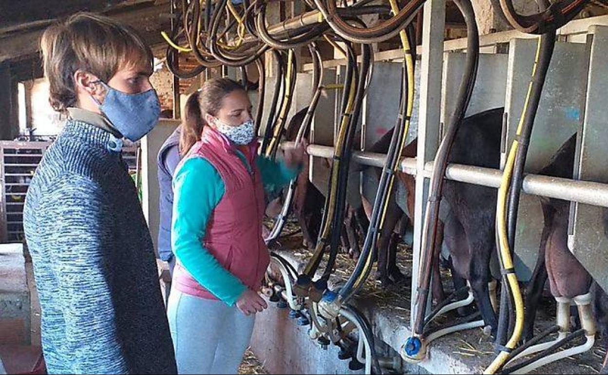Cooperativas Extremadura pone en marcha el intercambio de experiencias y formación entre jóvenes del sector agrario