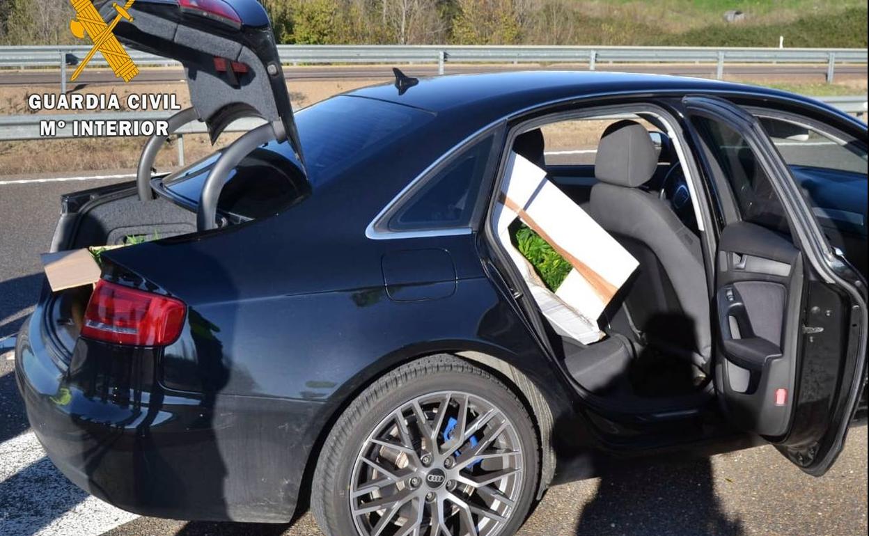 Vehículo con las cjas de cartón llenas de plantones de marihuana.