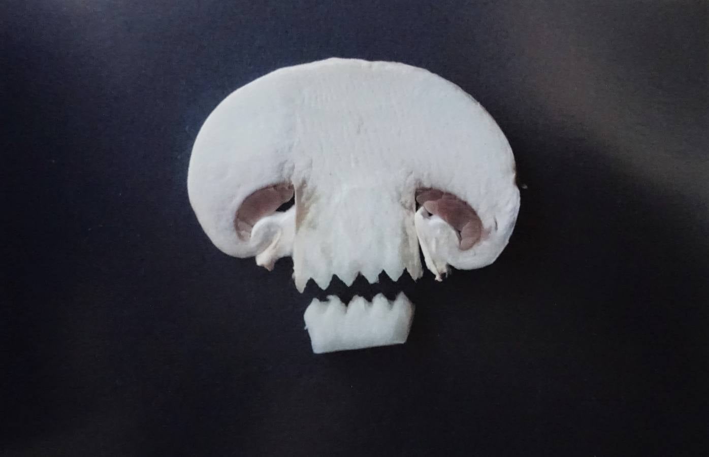 'Tánatos' en un champiñón.