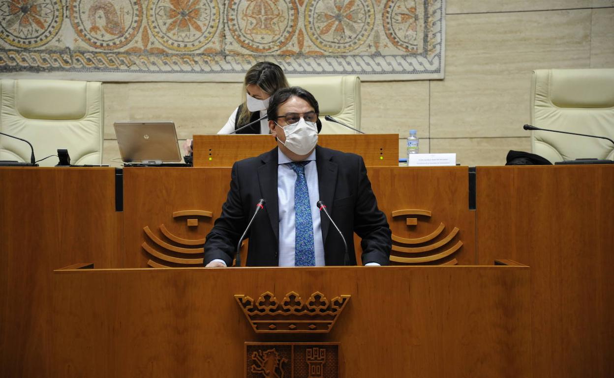 José María Vergeles, este jueves en la Asamblea. 