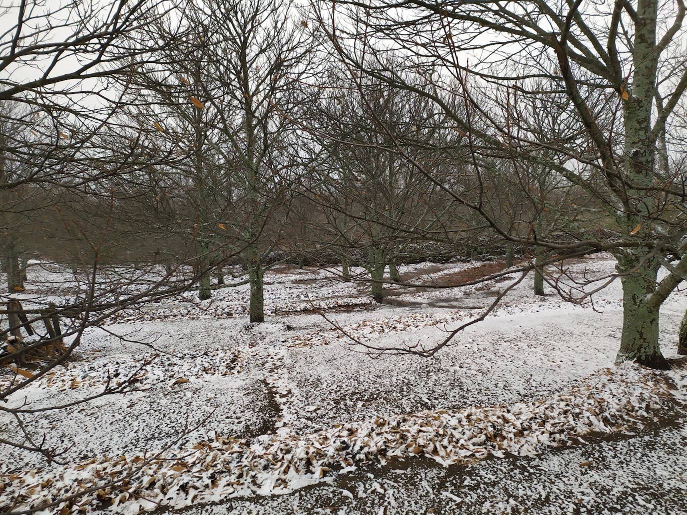 Nieve en el entorno de Piornal, el pueblo más alto del Valle del Jerte y de toda la región