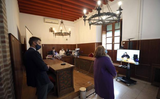 Los abogados, en videoconferencia con la fiscal. Al fondo, el juez. 