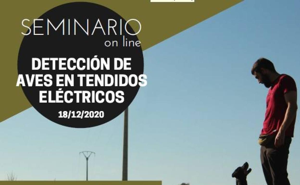 AMUS imparte una formación sobre detección de aves en tendidos eléctricos