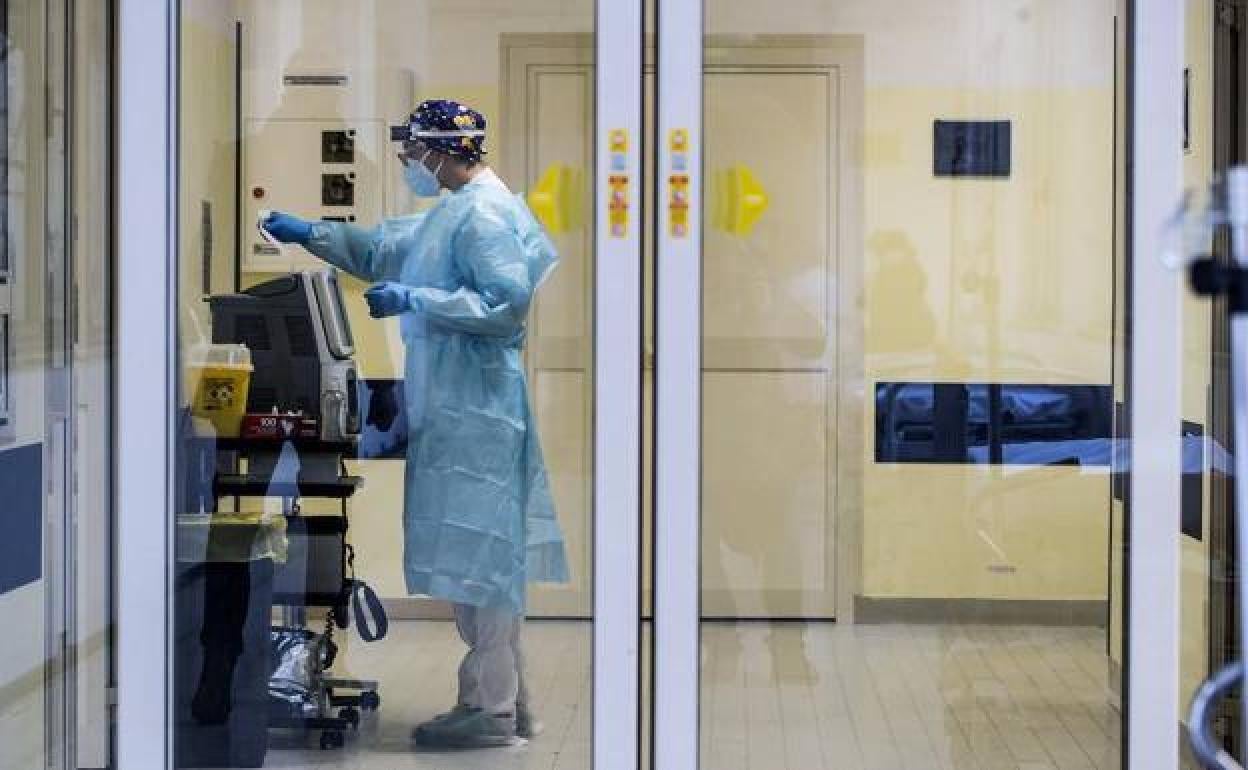 13 nuevos positivos y reapertura de bares en Calamonte