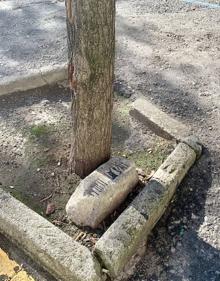 Imagen secundaria 2 - Arriba, una pareja camina por la avenida Virgen de la Montaña, cuyas aceras son estrechas. Abajo, a la izquierda, se ven jardineras destrozadas en la parte que separa el bulevar de la calzada; a la derecha, un alcorque roto, con uno delos bloques tirado en el suelo.