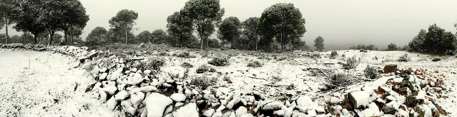 Helechosa de los Montes
