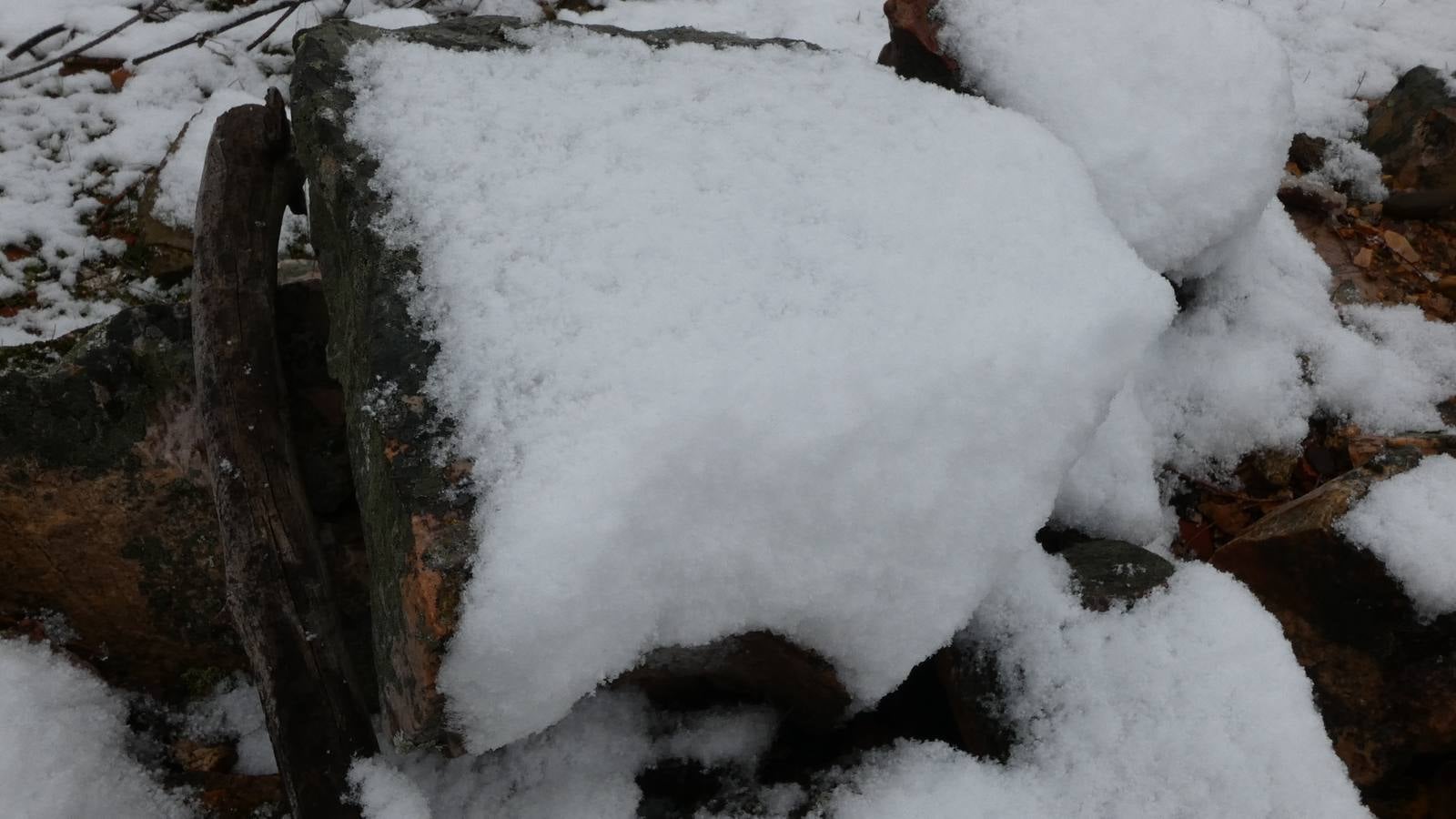 Helechosa de los Montes