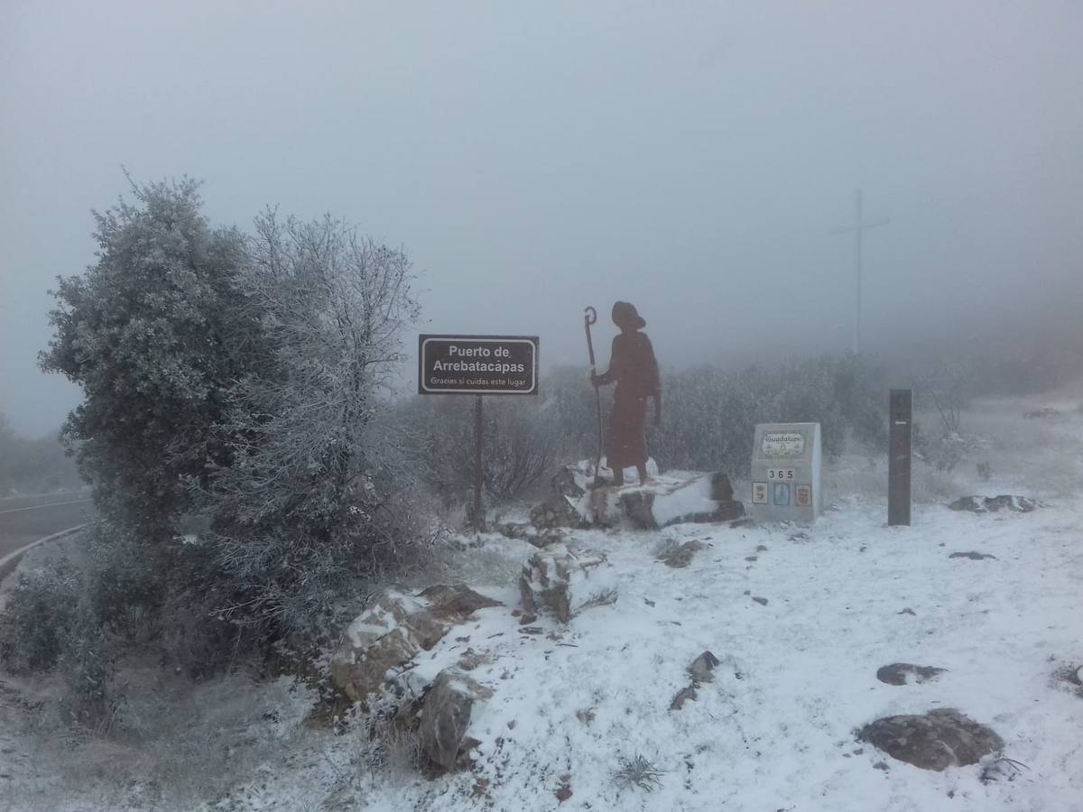 Nieve en la Finca El Dehesón. Charca de la finca al lado De la Fuente Potargo