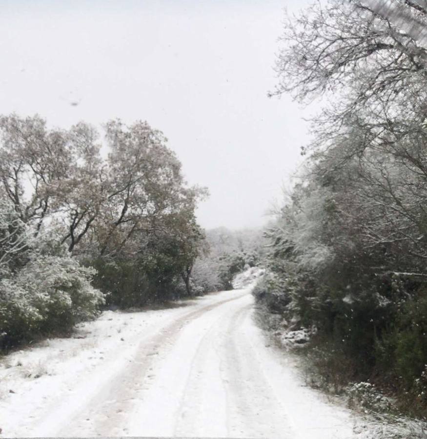 Nieve en la Finca El Dehesón. Charca de la finca al lado De la Fuente Potargo