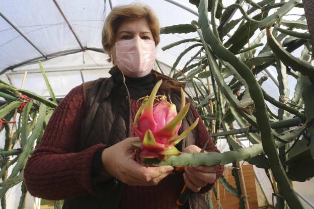 Antonia Parejo con una de las últimas frutas de la cosecha de 2020.