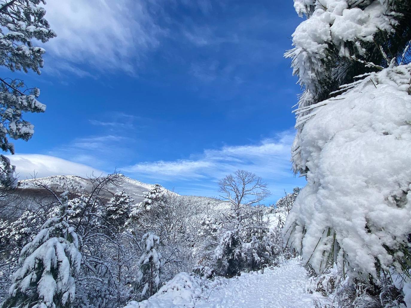 Arco del agua de Guadalupe. 