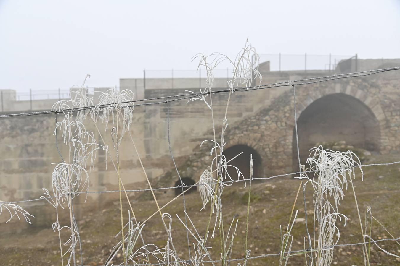 Las bajas temperaturas ofrecen una estampa idílica de Badajoz 