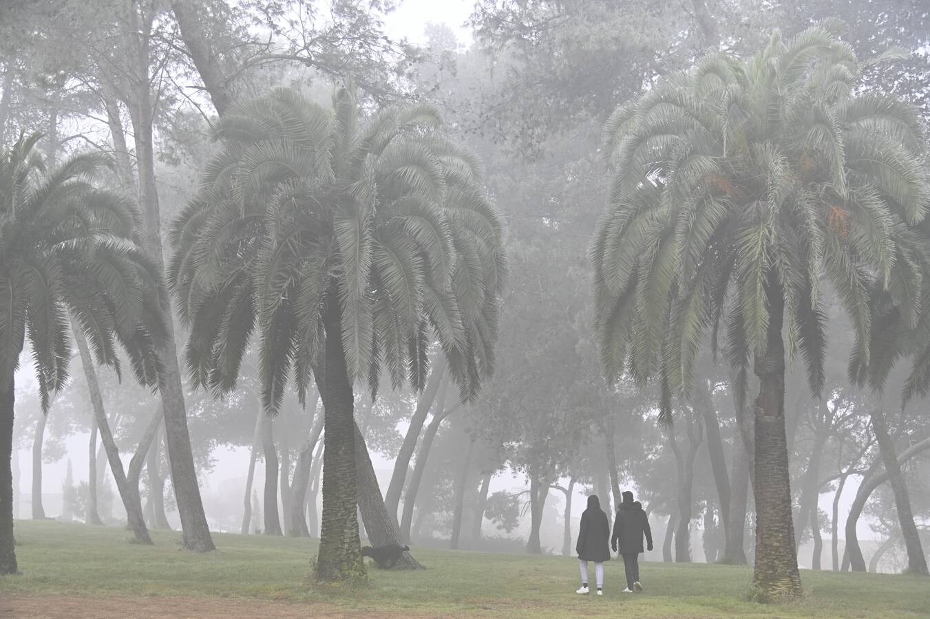 Las bajas temperaturas ofrecen una estampa idílica de Badajoz 