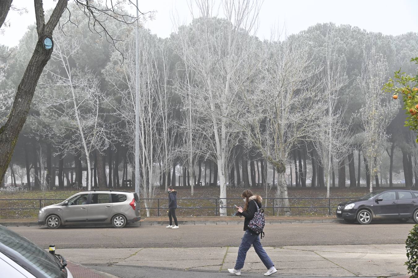 Las bajas temperaturas ofrecen una estampa idílica de Badajoz 