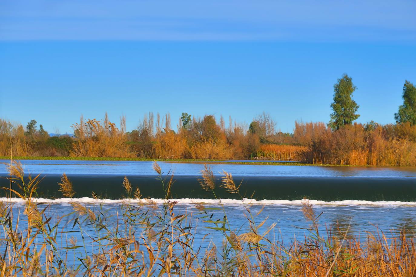 Fotos: Guadiana, el río que nos une