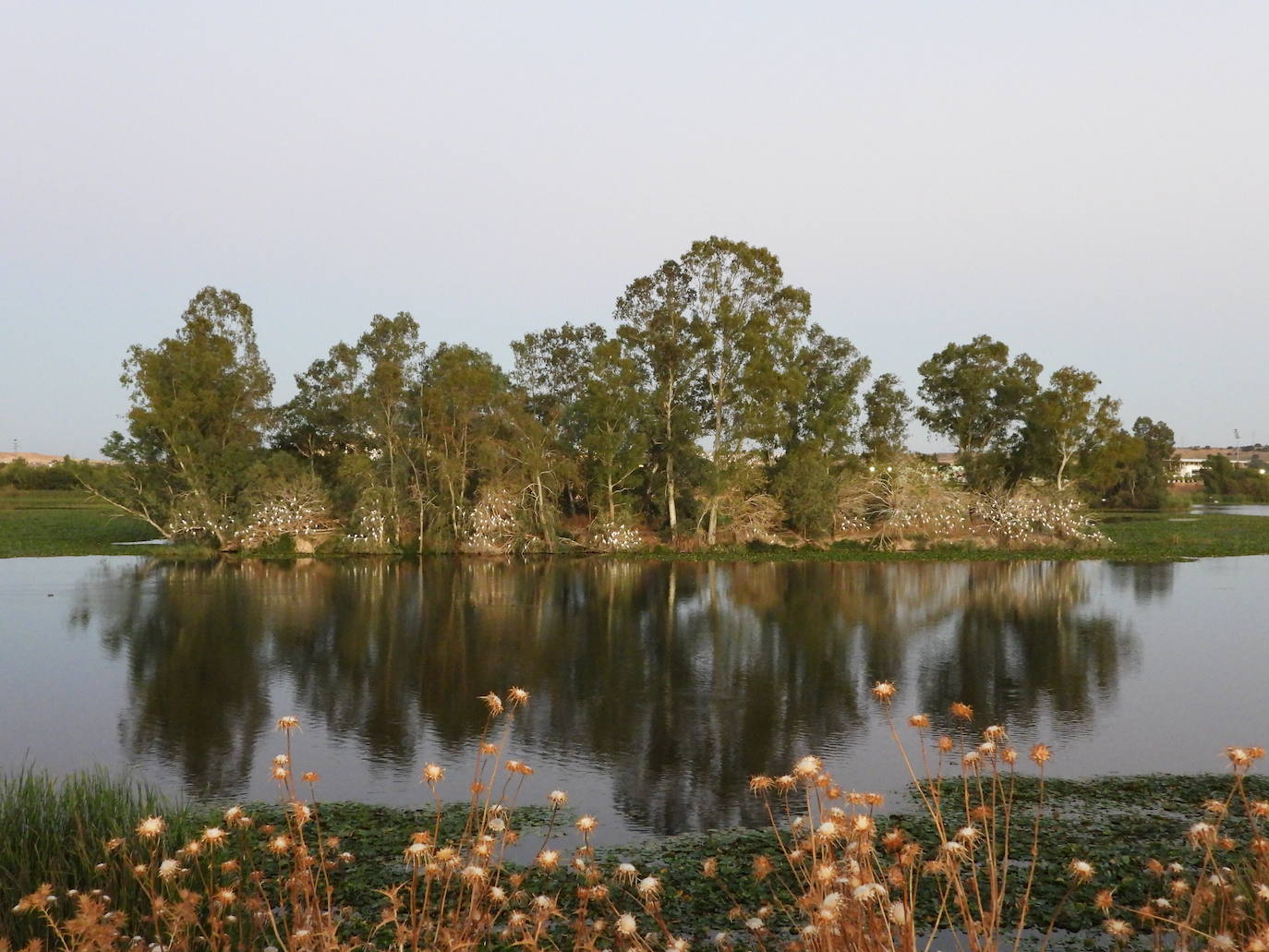 Fotos: Guadiana, el río que nos une