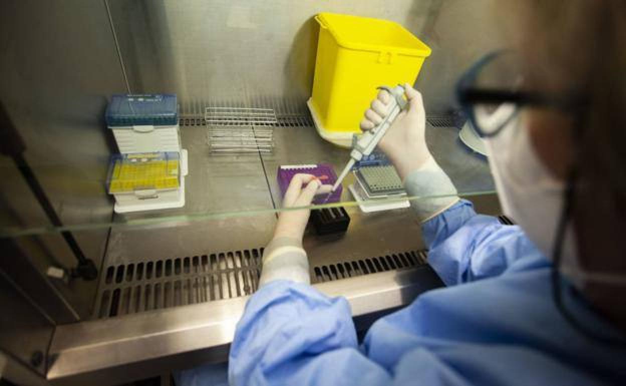 Realización de una prueba PCR