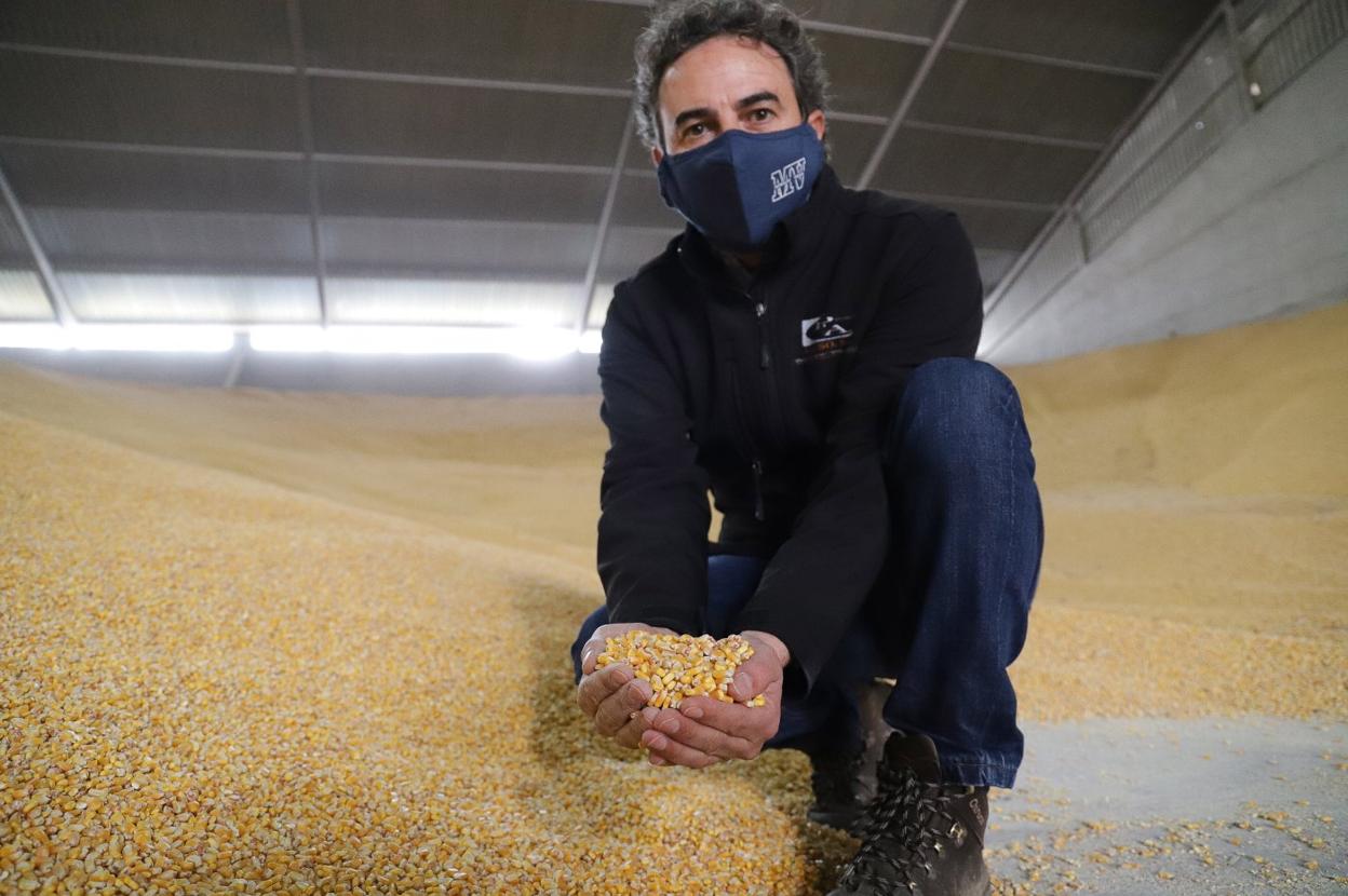 Ricardo Fernández, con el maíz cosechado en sus parcelas. 