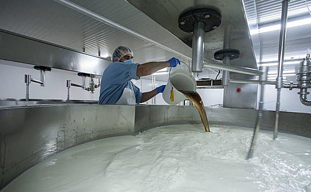 Imagen principal - Arriba, leche fresca que llega cada día de las explotaciones de la comarca. Abajo, envasado final de los quesos y Mario Blasco, con lagunos de los quesos que elabora en su quesería. 