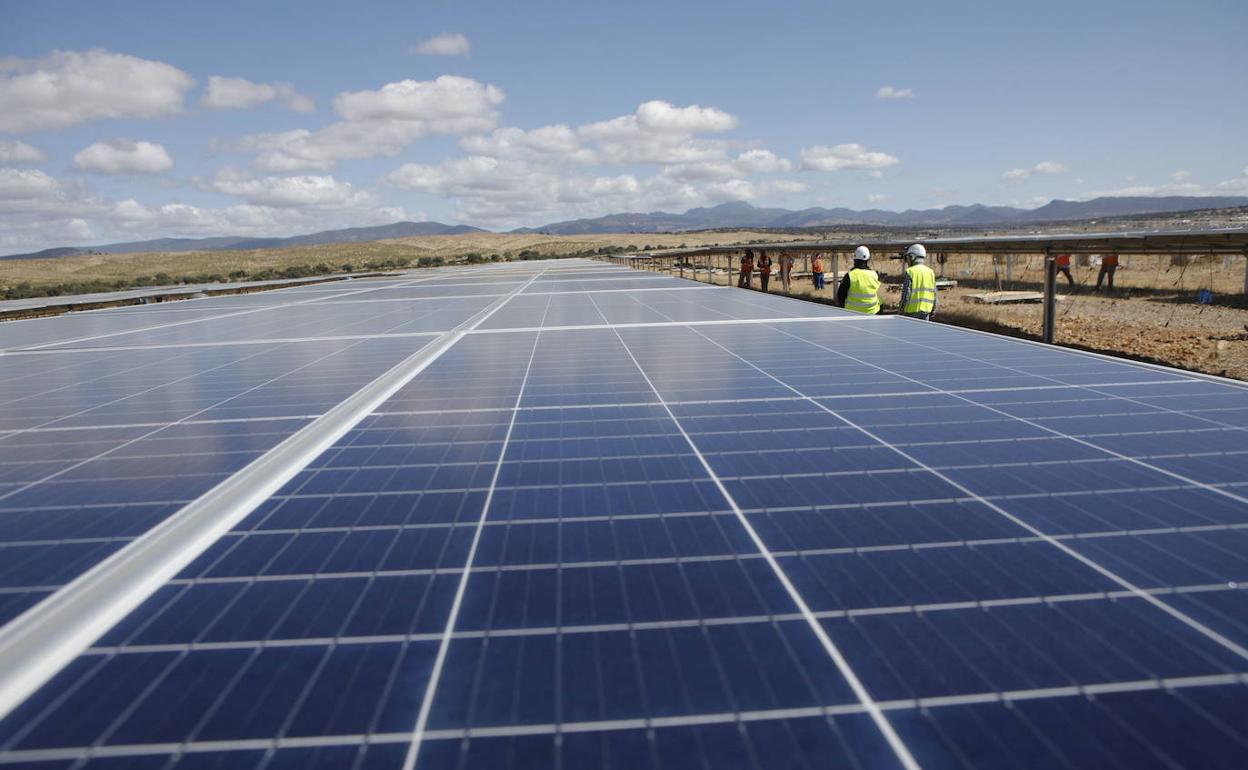 Trabajos de construcción de la fotovoltaica de Valdecaballeros, una de las últimas grandes levantadas en la región. 