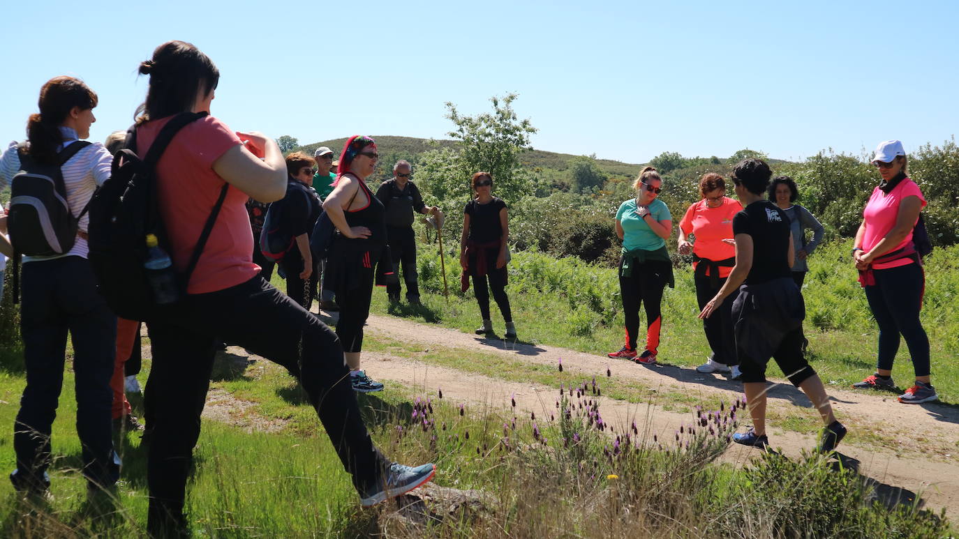 Fotos: De California a Losar de la Vera buscando una vida sostenible
