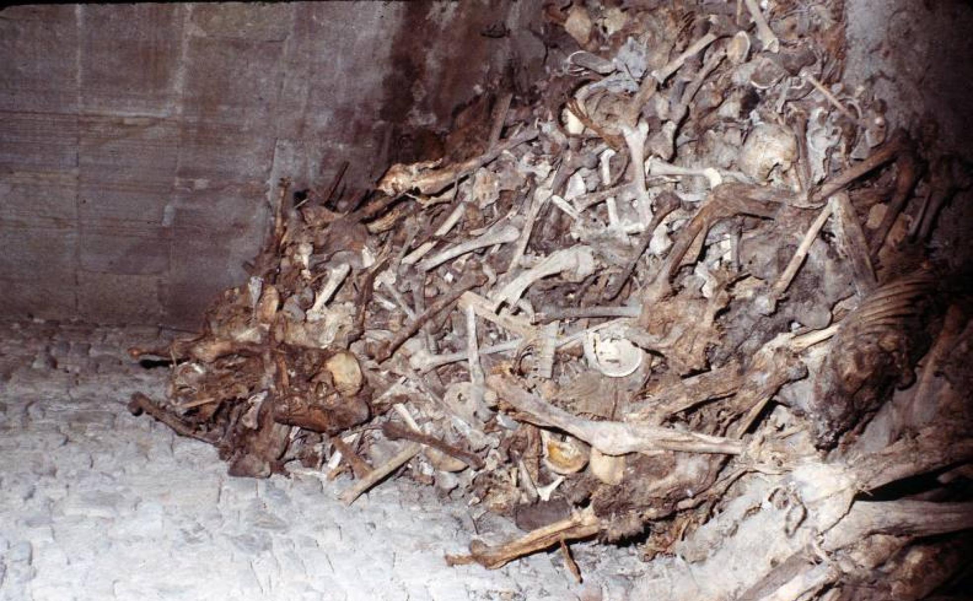 Montones de restos encontrados en Llerena. 